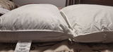 Lise Ethier review photo