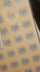 Daniela H. review photo