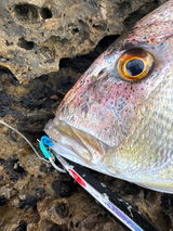 Manuel (SDC Fishing team) review photo