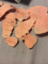 Upset customer review photo