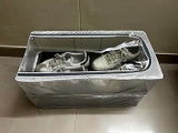 Rohit Y. review photo