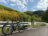 やなきさとる review photo