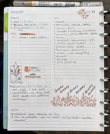 Patchi review photo