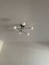 Douglas Bishop review photo