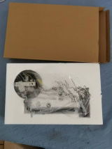 Rocco Castro review photo