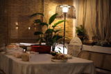 Harold Dolly review photo