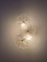 Caroline Craigie review photo