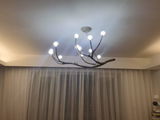 Flora Thomson review photo