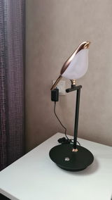 Perry Bach review photo