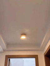 Edison Dan review photo