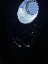 Rocco R. review photo