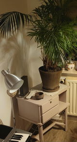 Dagmar P. review photo