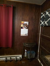 Wayne Ruuska review photo