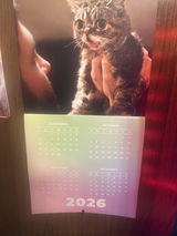 2027 Lil BUB Calendar