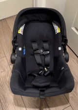 Angeli review photo