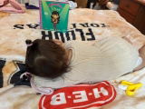 Bre Guzman review photo