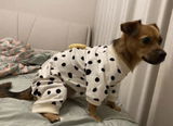 Keegan review photo