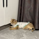 Kiwi review photo