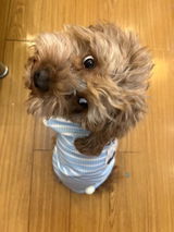 Jacob review photo