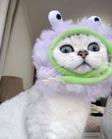 CQ review photo