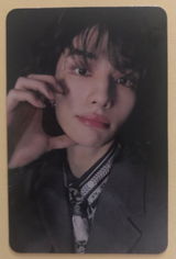 holly review photo