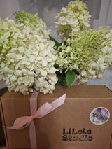 Ilze Ūdre review photo