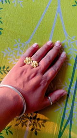 Poornima . review photo
