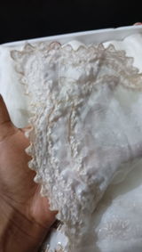 Chandani maurya review photo