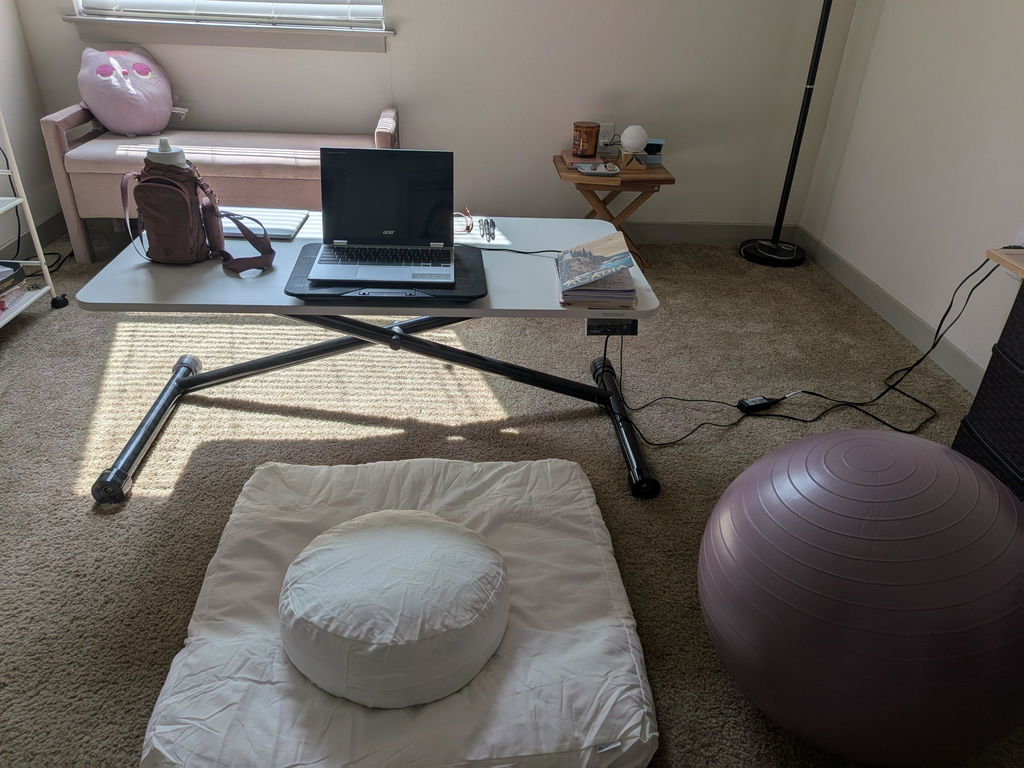Lillipad Electric Floor to Stand Desk — Fully Assembled