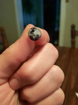 Casey Piacenti P review photo