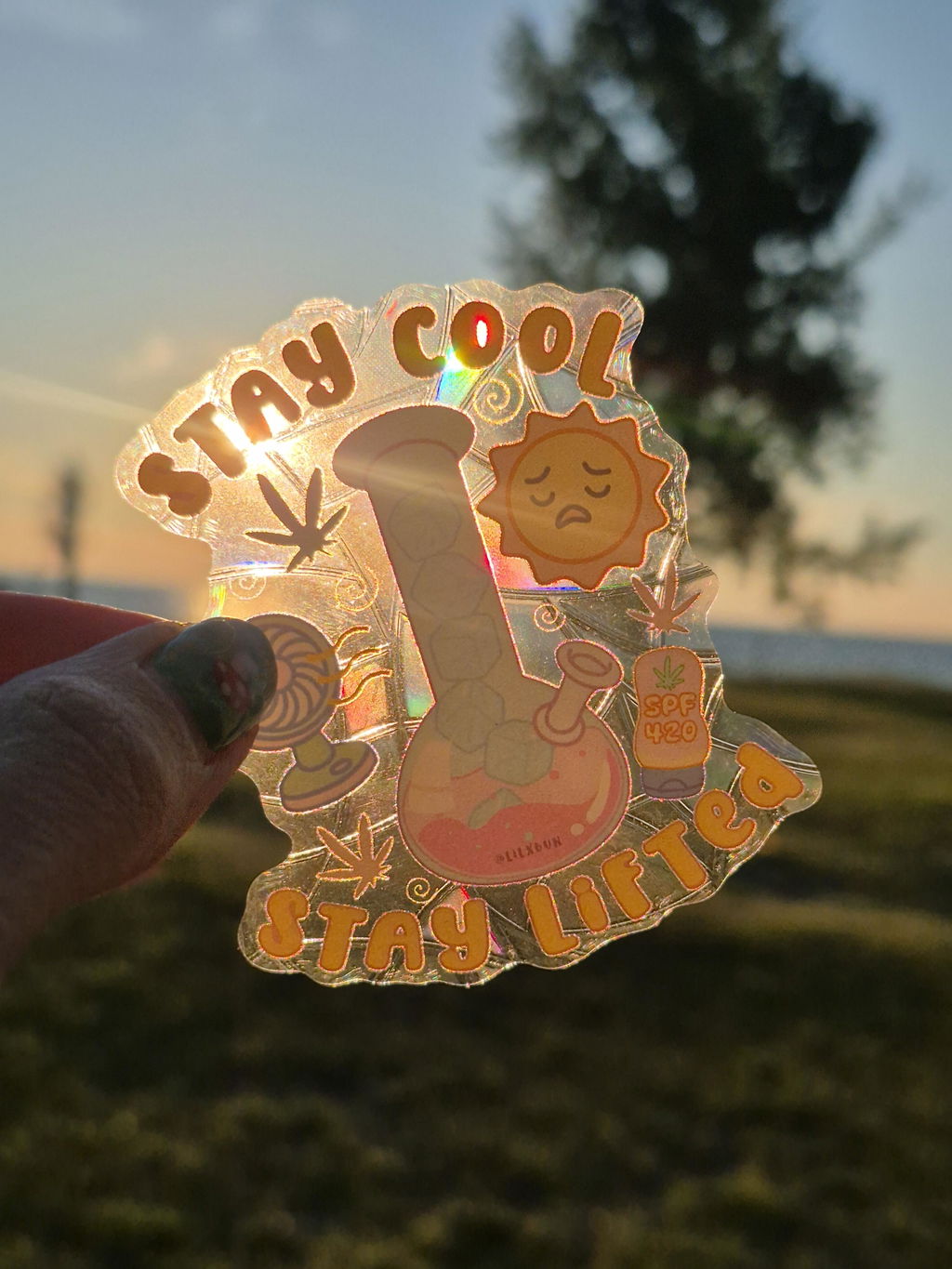 Lit Mail Club Membership