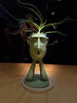 Kenn T. review photo