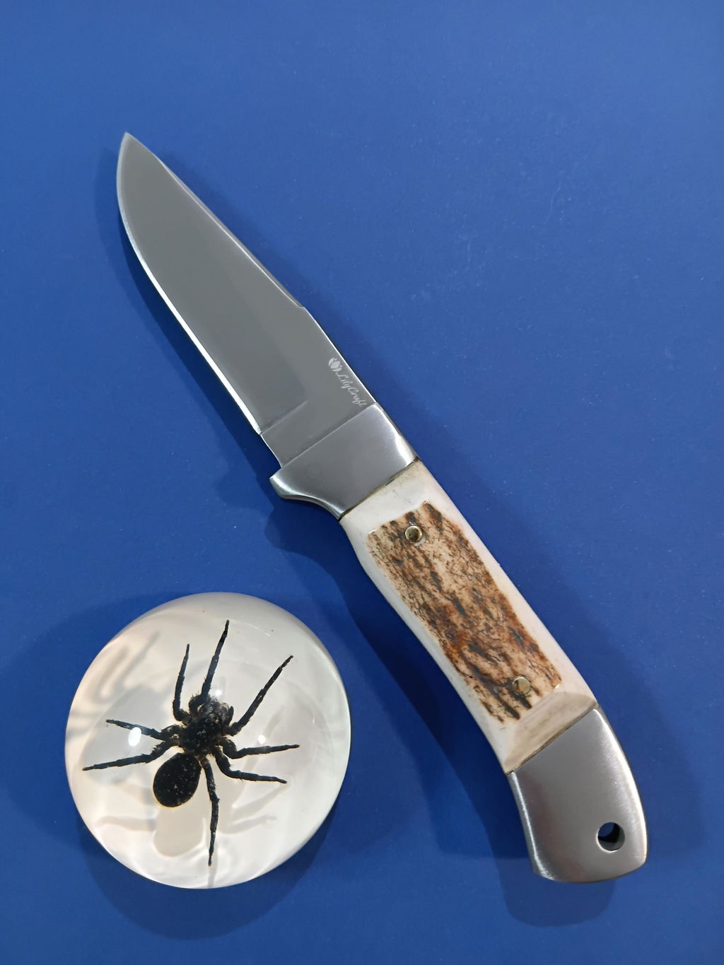 Stag Horn Hunting Knife with Personalised Leather Sheath and Wooden Gift Box