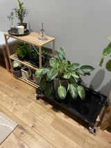 匿名 review photo