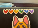 Ari review photo