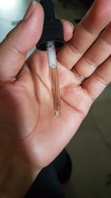 Sonal Uniyal review photo