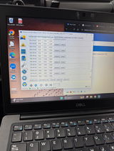 Nele review photo