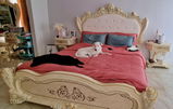 Catherine Casio review photo