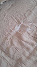 Melh ann review photo
