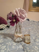 Olivia S. review photo