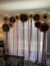 Annmarie P. review photo
