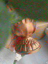 Gina C. review photo