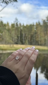 Lovely review photo