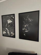 Linda Johnsen review photo