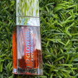Monica Sava review photo
