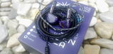 Edison J.T.R. review photo
