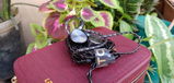 Edison J.T.R. review photo