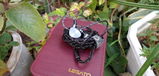 Edison J.T.R. review photo