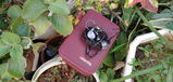 Edison J.T.R. review photo