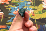 Avishai D review photo